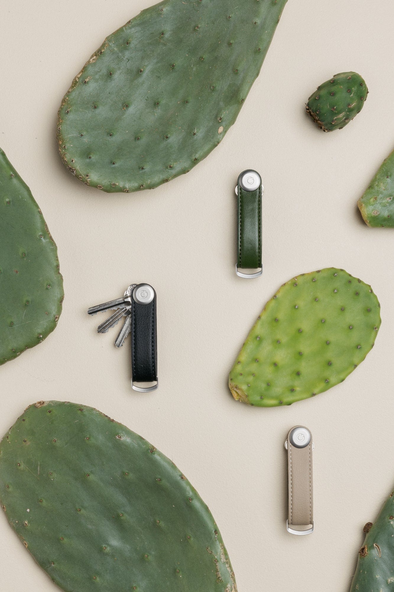 Cactus Leather Key Organizer